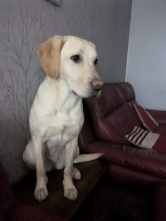 Maisie from Falkirk