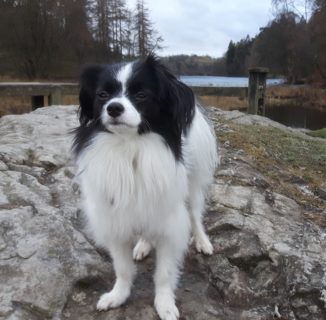 Roxy from Falkirk