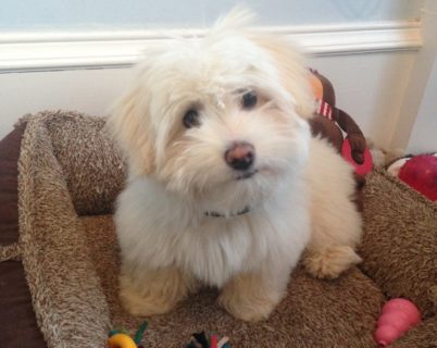 Lila from Edinburgh