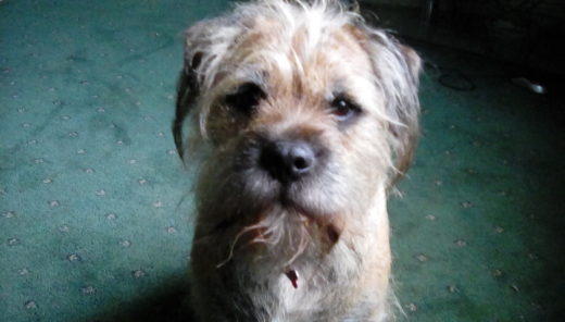 Rory from East Kilbride