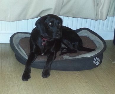 Lottie from Rainham, Essex