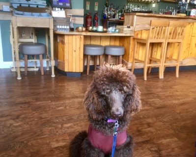 Mitzi from Glencarse