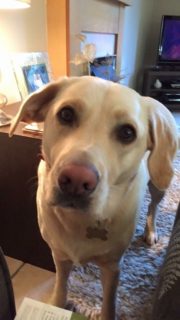 Kara from Tweedbank