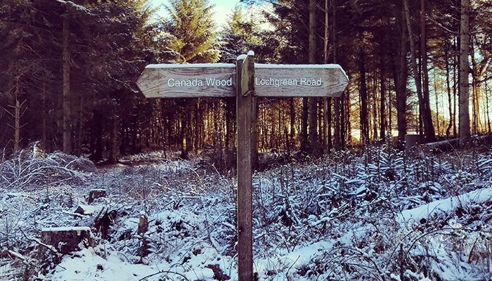Canada Wood, Falkirk - Dugs n Pubs Dog Friendly Guide